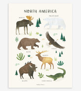 LIVING EARTH - Affiche enfant - Animaux Amérqiue du nord
